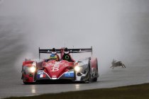 Maxime Martin aan de start met Thiriet by TDS Racing