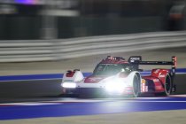 1812km Qatar: Matt Campbell snelste in eerste vrije sessie