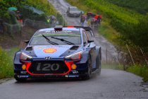 Analyse: Neuville terug op achtervolgen aangewezen