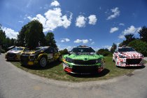 WRC: Dirt 3.0 krijgt Ypres Edition