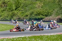 Veel favorieten tekenen present onder  de zon in Ostricourt