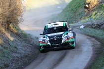 Rally van Spa: Loix uit op revanche