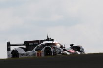 Neel Jani: "Afgaand op de kwalificaties zal het morgen een heel mooie race worden"