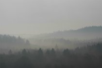 België: Een wandeling door de geschiedenis van de F1 in Spa-Francorchamps - Deel 1