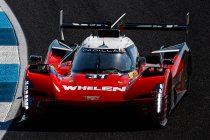 Indianapolis: Meyer Shank Racing de snelste, maar Cadillac Whelen op pole