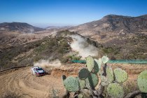 Mexico: Tänak mag eerste keer veger van dienst zijn