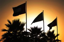 Meer details omtrent Gulf 12 Hours en Istanbul 12 Hours bekend
