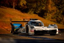 Nieuws uit de paddocks: week 1