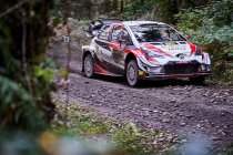 Wales GB: Meeke toont vorm