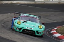 Alessio Picariello met Falken naar NLS en 24h Nürburgring