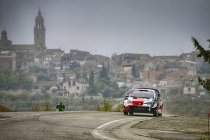 Islas Canarias: Neuville op jacht