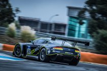 Estoril: De titel in de Michelin GT3 Le Mans Cup gaat naar TF Sport