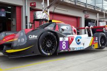 Imola: Bert Longin: "Minstens even goed doen als in Silverstone"