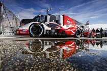 Roar before the Rolex 24: Porsche en Cadillac openen het snelst in de eerste twee trainingen
