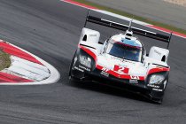 Bahrein: Sleept Fittipaldi test met LMP1 Porsche in de wacht?